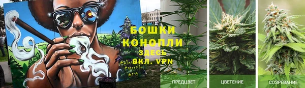 mdma Горнозаводск