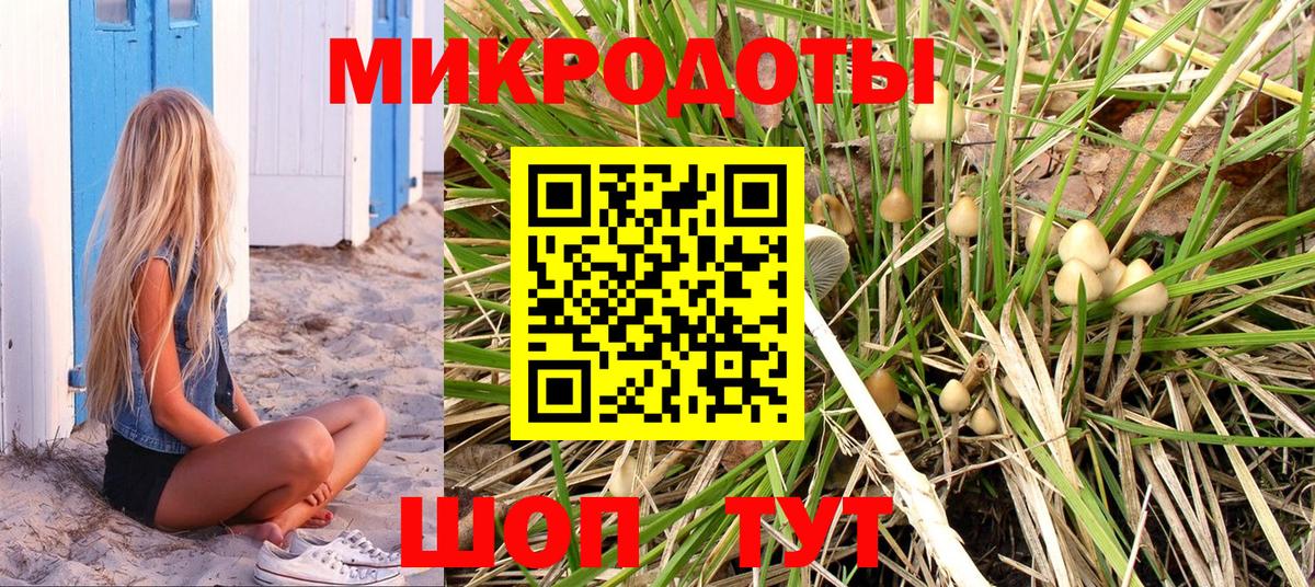 Псилоцибиновые грибы GOLDEN TEACHER  Галлюциногенные грибы GOLDEN TEACHER  Вход с VPN  купить закладку  Зима 